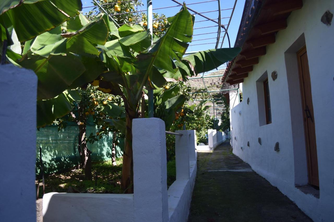 阿格特Casa Camino Tamadaba公寓 外观 照片