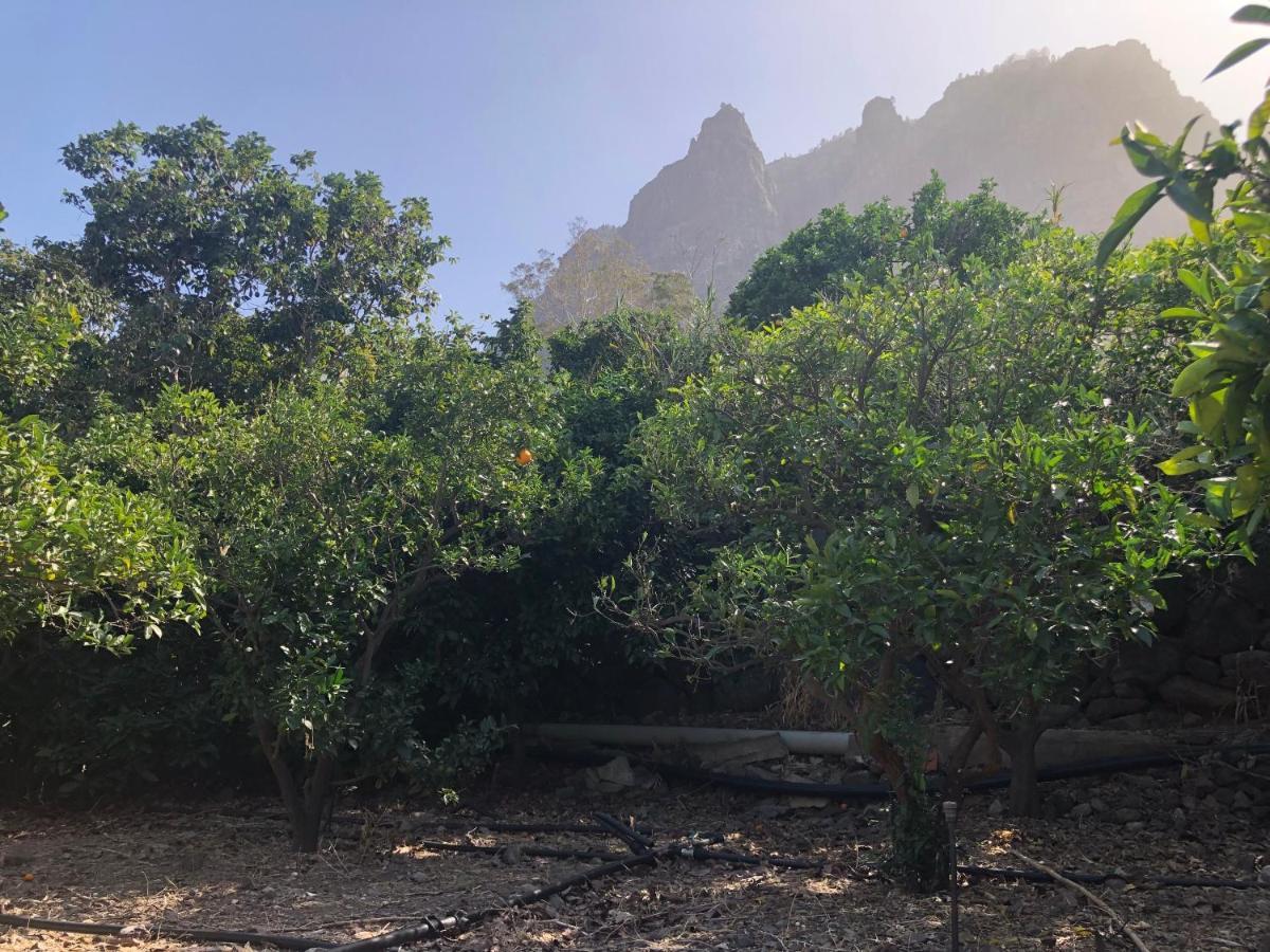 阿格特Casa Camino Tamadaba公寓 外观 照片