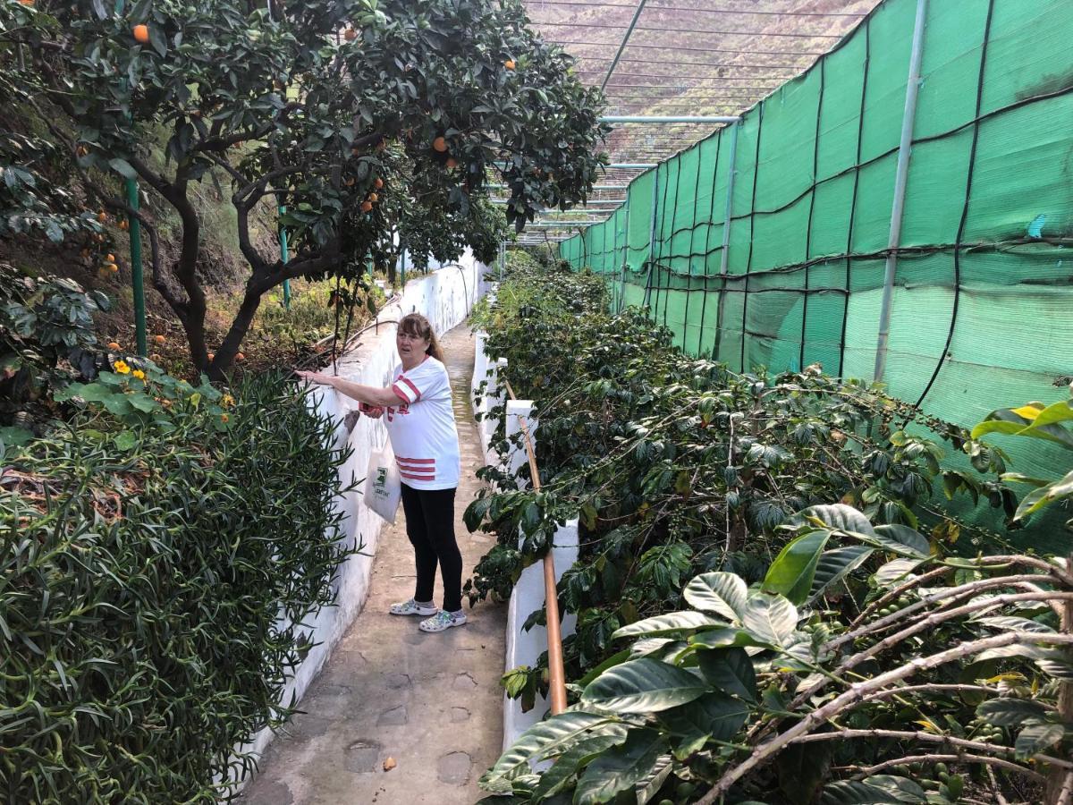 阿格特Casa Camino Tamadaba公寓 外观 照片