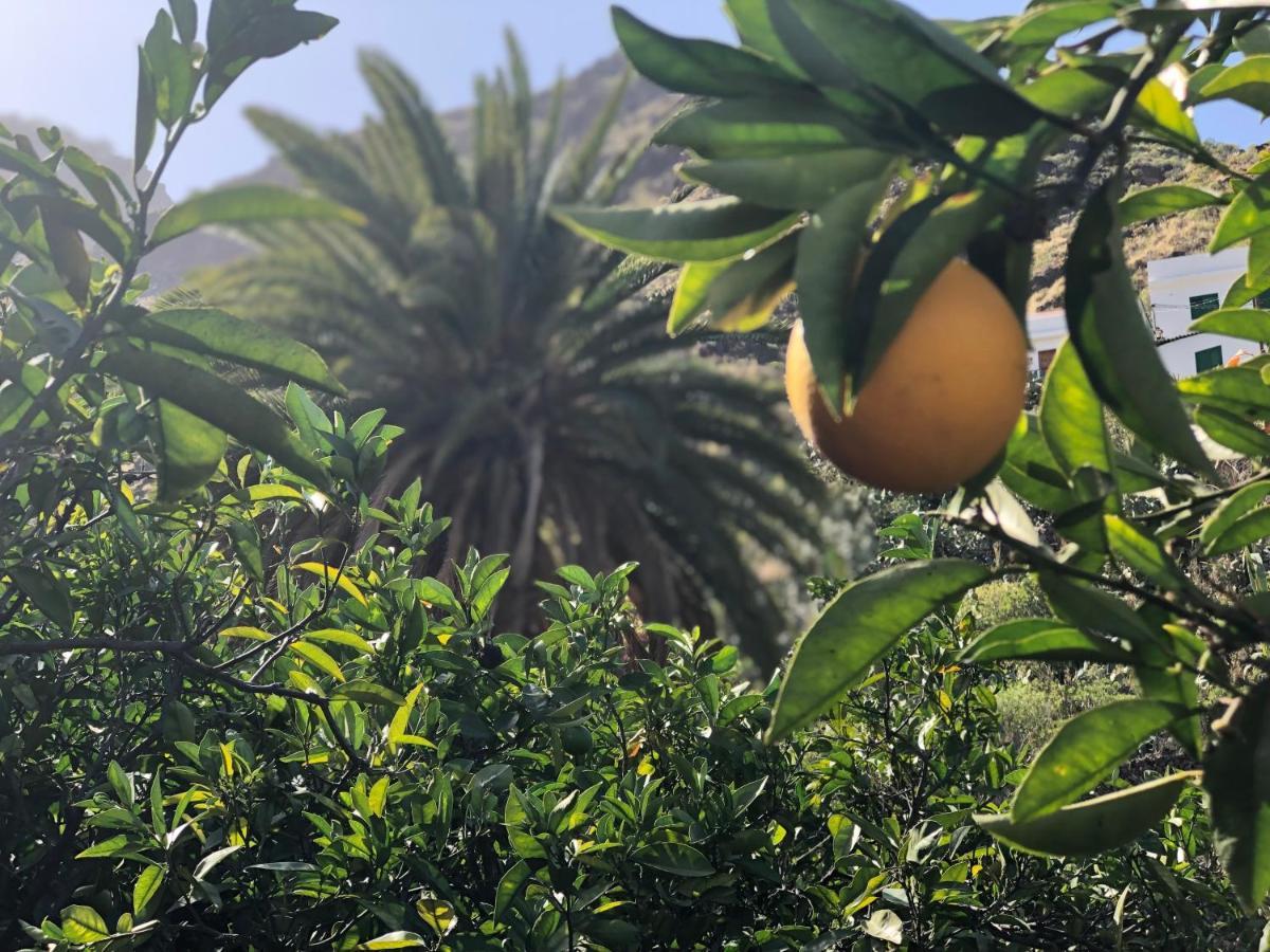 阿格特Casa Camino Tamadaba公寓 外观 照片