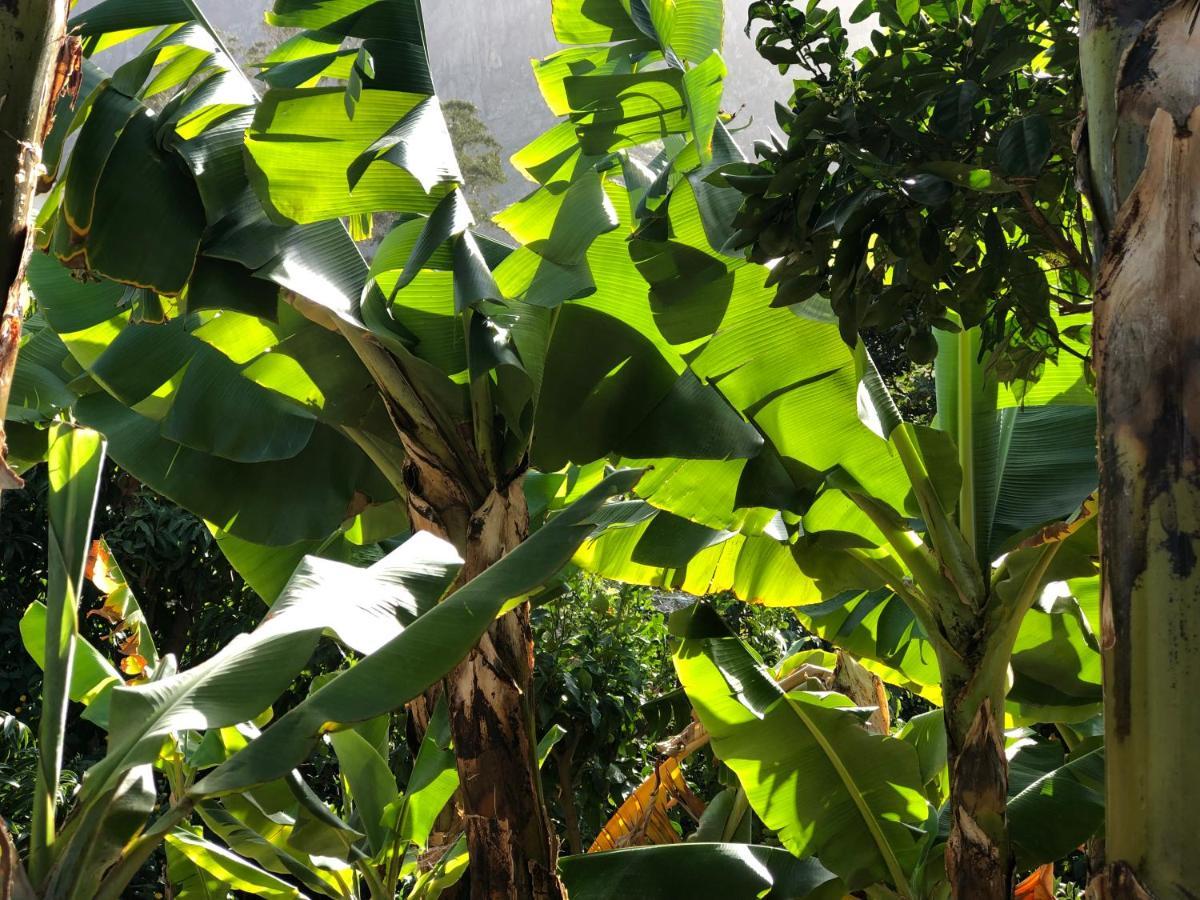 阿格特Casa Camino Tamadaba公寓 外观 照片