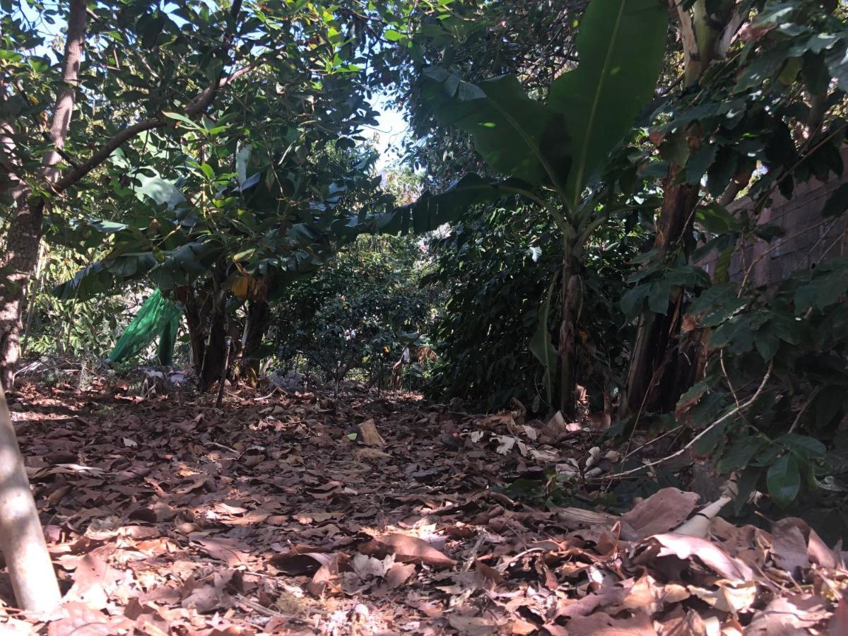 阿格特Casa Camino Tamadaba公寓 外观 照片