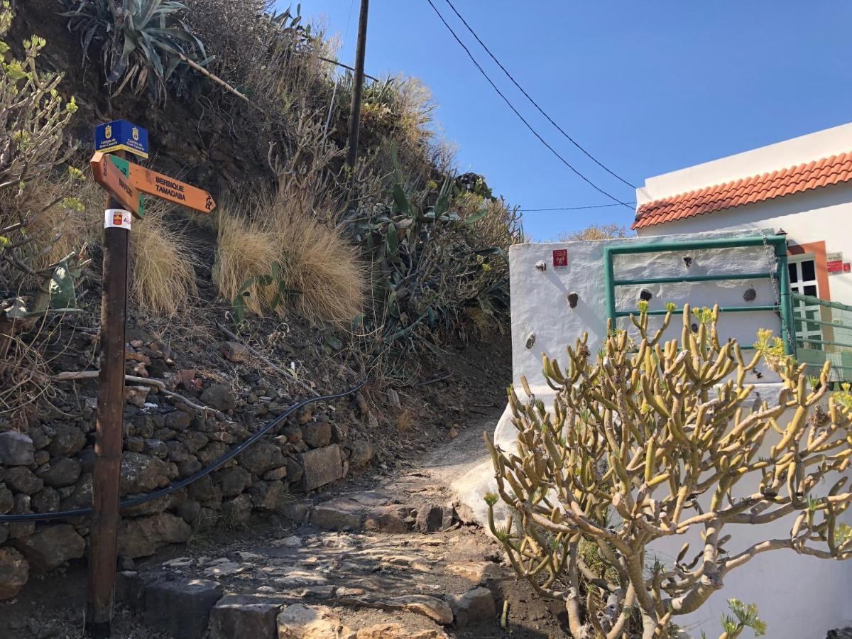 阿格特Casa Camino Tamadaba公寓 外观 照片