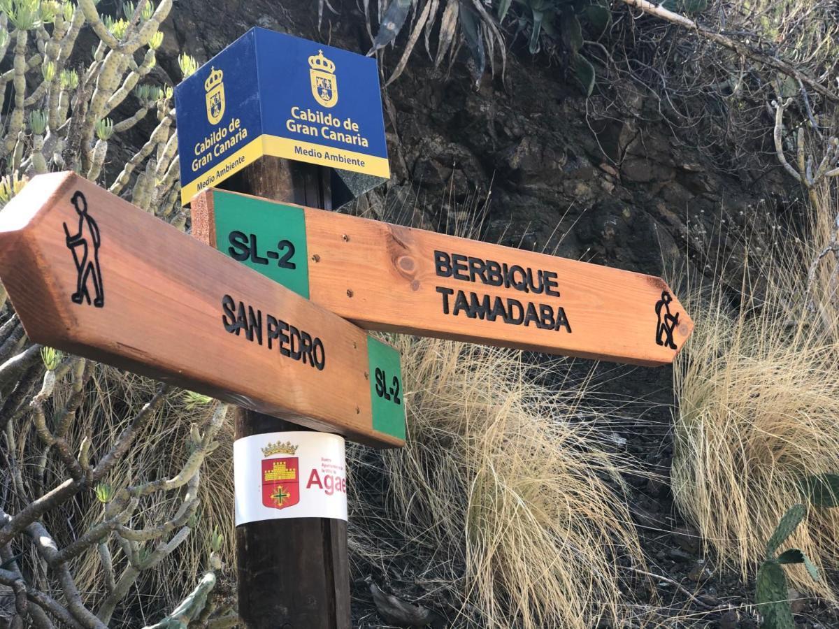 阿格特Casa Camino Tamadaba公寓 外观 照片
